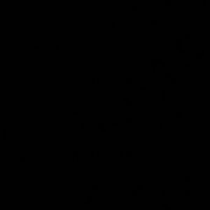 Meet your Posher, Travis